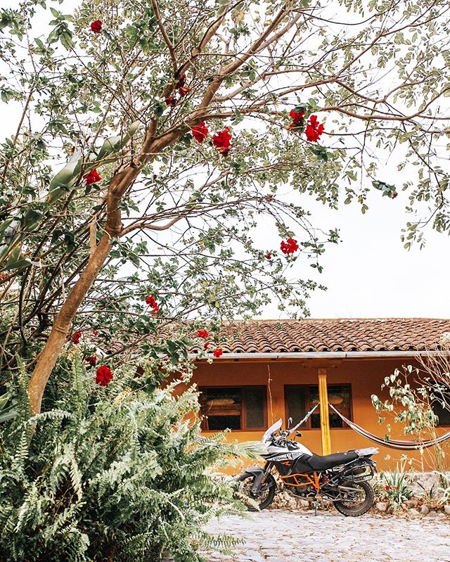 Dear Instagram,⁣
⁣
We wanted to update you on our trip, as a lot has happened and changed. (Rach here)⁣
⁣
This trip has been full of ups and downs. We have been to many incredible places, loved the time on the road, and valued our freedom. It has also been incredibly taxing at times, and as the trip has progressed, the challenges have swallowed the pleasure.⁣
⁣
I’ve been experiencing digestive and hormonal issues in the last year that have only gotten worse. After endless research, bloodwork, and doctor’s visits, we have postulated that the cause is stress related, and that traveling in this way is inducing many of my symptoms. ⁣
⁣
Additionally, we have been facing challenges within our relationship. All relationships require patience, work, and communication, and we have come to a point where we have exhausted those resources. Being together 24/7 has taken a toll on us, and we are struggling to get along. ⁣
⁣
These issues have been building over time, and we both worked very hard to maintain composure and continue on this trip. We shared what we felt comfortable with on this platform, but wanted to have some sense of privacy as well as we tried to push through the difficulties we experienced.⁣
⁣
After a lot of thought and discussion, we determined that it was no longer in my best interest to stay traveling on the motorcycle. My health and our relationship are suffering too much.⁣
⁣
It was a difficult decision and the last week has been really rough for both of us, but we decided Josh will ride on to Buenos Aires without me. It could take him 6-8 weeks. We both agree that time apart will be good for us. ⁣
⁣
Over the last few months, I have thought about what I would do if this scenario came up. I think that was my subconscious telling me I didn’t want to be on this trip anymore, but I didn’t want to acknowledge it. When I imagined what I would do, I always pictured going back to Bali. After hashing out all the options of what I would do while Josh rode on, we decided Bali would be a safe place for me to be alone, to rekindle a sense of independence and autonomy, and seek out spiritual and naturopathic practices.⁣
⁣
*Read on in Comments*